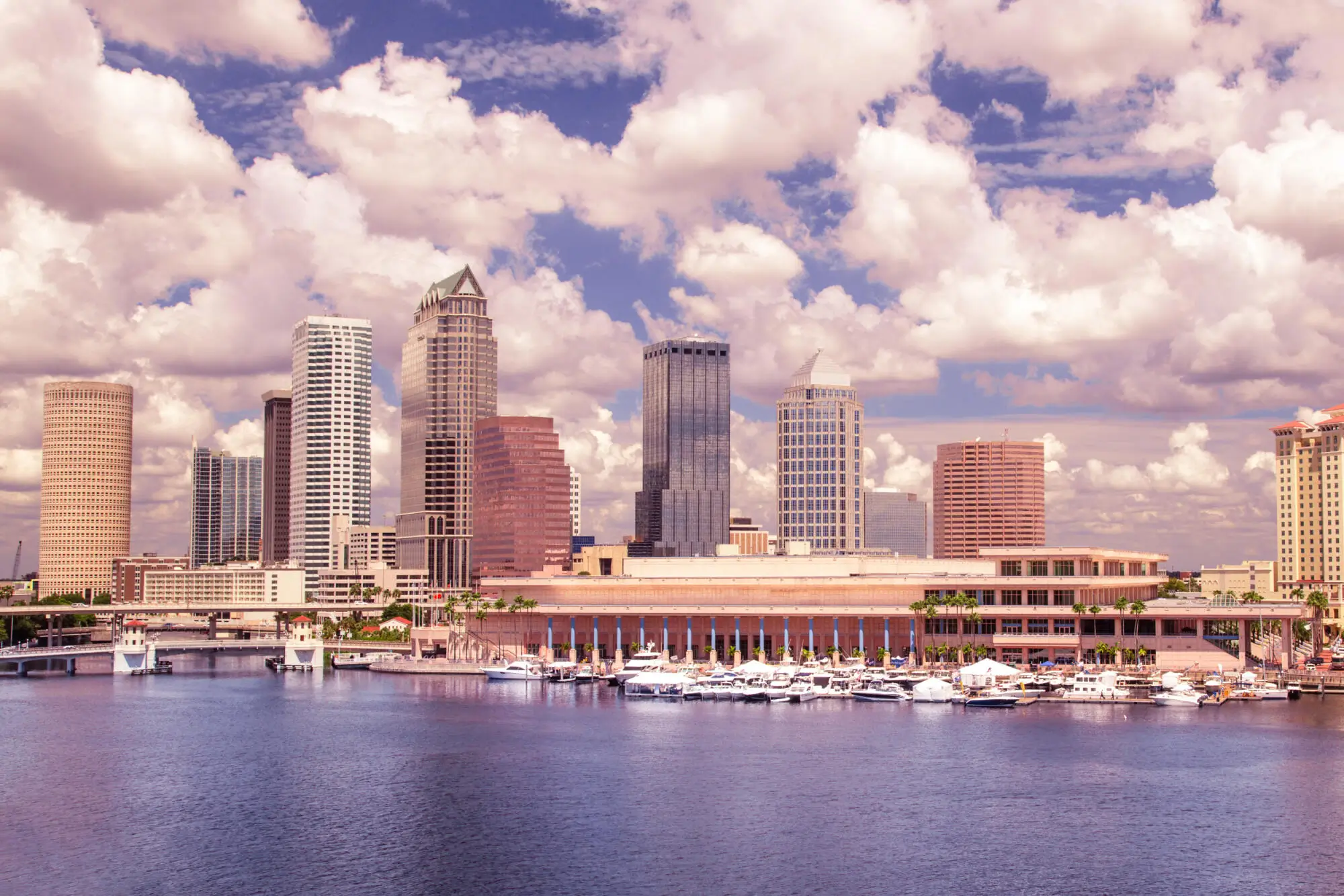 Real Estate Asset Management Best Practices That Put Money In Your Pocket in Tampa Bay, FL
