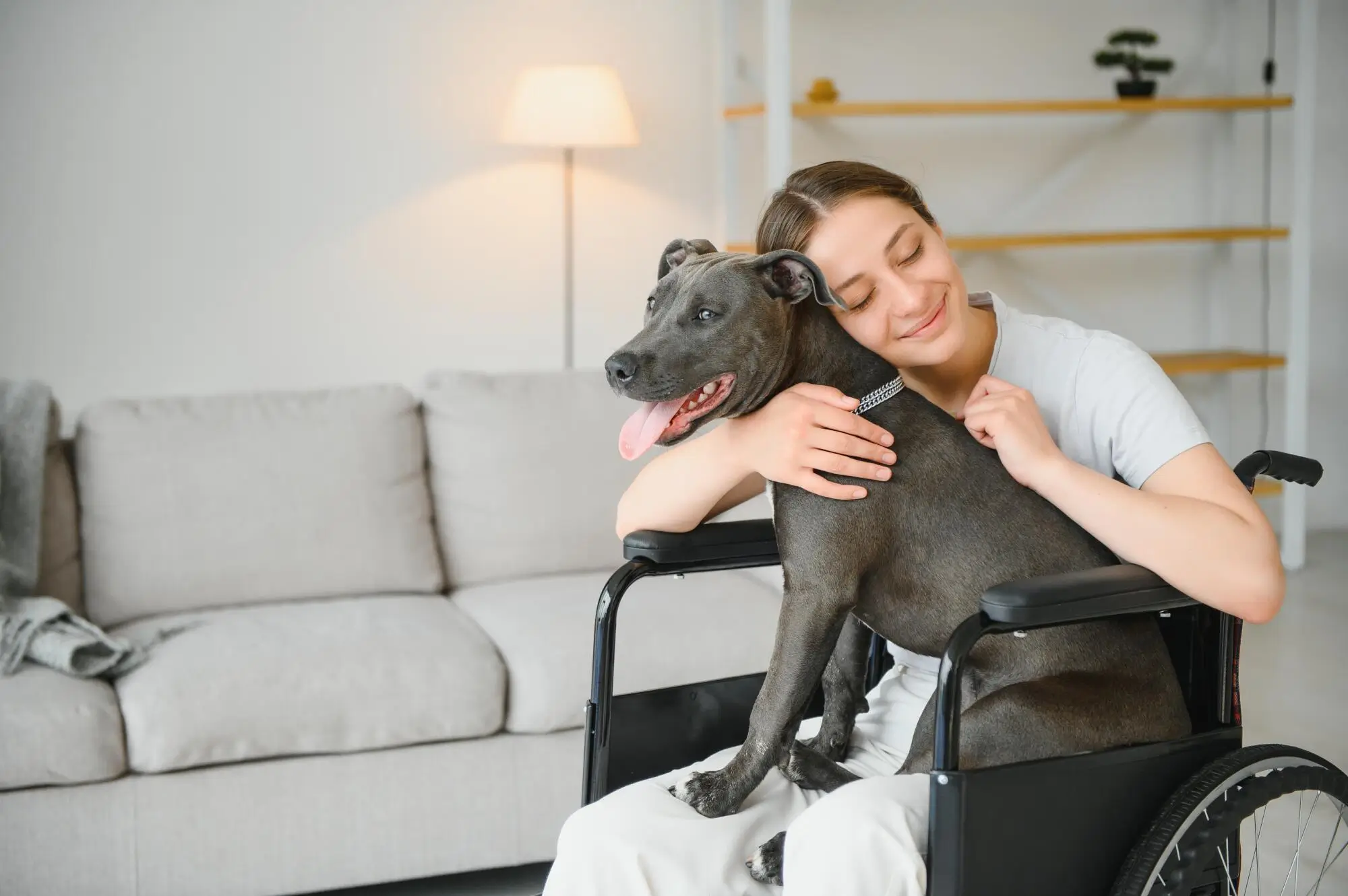 Top 5 Benefits of Having Support Animals in a Tampa Bay Community